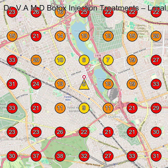 Dr. V.A M.D Botox Injection Treatments GeoGrid visibility map for Medical Spa in Queens